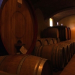 cantina con botti antiche