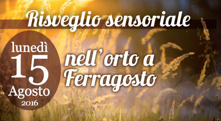 ferragosto sinergico 2016 Barolo